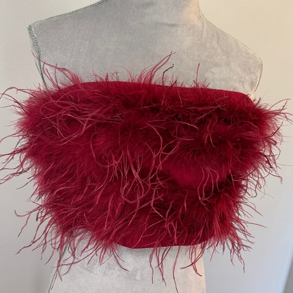 Magnolia Red Feathered Tube Top - Picture 4 of 13